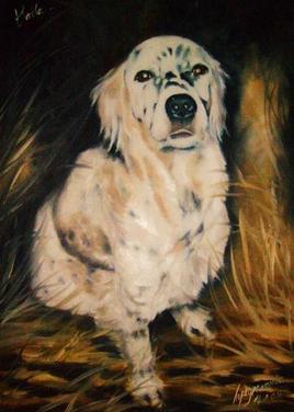 (une pens&eacute;e pour toi)