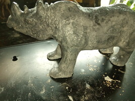 Rhino termine