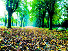 Une dernière balade que nous deux