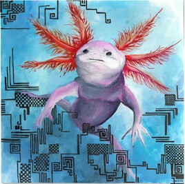 Axolotl