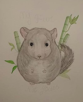 Ma fourrure, pas la tienne ! (en progression)