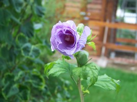 je vais m'ouvrir attendez ...!