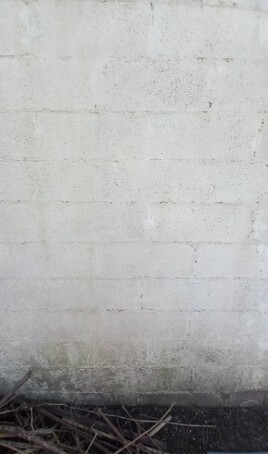 Le mur de la lamentation