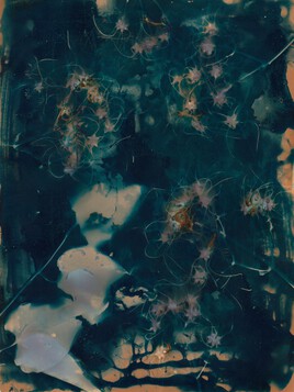 Lumen #91 - cl&eacute;matite des haies