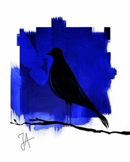 The night bird