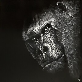 Portrait d’un gorille
