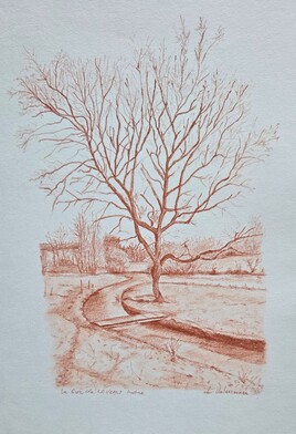 Le petit pont de la rivi&egrave;re du Gu&eacute; de Laveau Indre