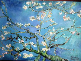 Amandier en fleurs (d'après Vincent Van Gogh)