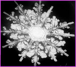 Flocon de neige &agrave; 12 branches/ Photo A beautiful 12-point snowflake