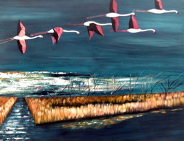 la Camargue le soir