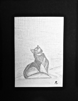 Chat regardant un oiseau / Drawing : A cat looking at a bird