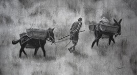 Pablo et ses &acirc;nes