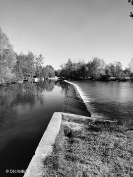 L'ile de la Sauvageonne