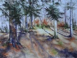Forêt de Famenne