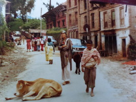 &agrave; Pashupatinath .
