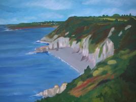 LA POINTE DE PLOUHA ( 22580)