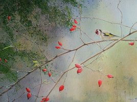 apr&eacute;s la pluie