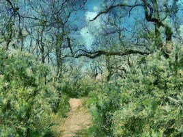 For&ecirc;t de Fontainebleau