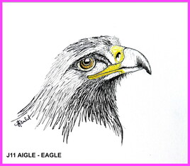 Inktober J11 : Aigle / Eagle