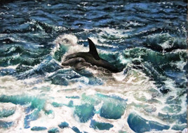 Dauphins australiens