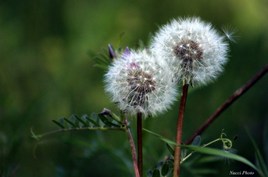 &eacute;th&eacute;r&eacute;