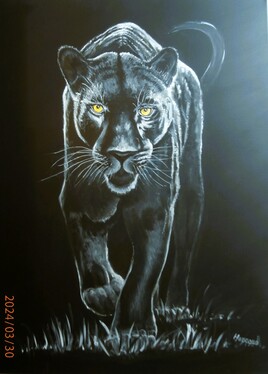 la panth&egrave;re noire