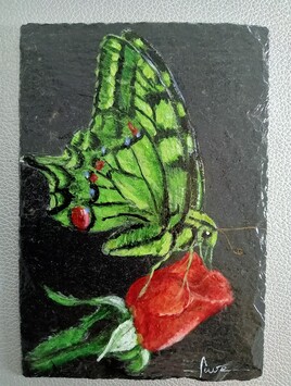 "Papillon vert et la rose"