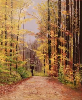 Forêt d'Ardenne en automne