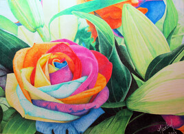 Rose multicolor