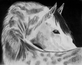 CHEVAL 03062011