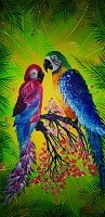 perroquets1