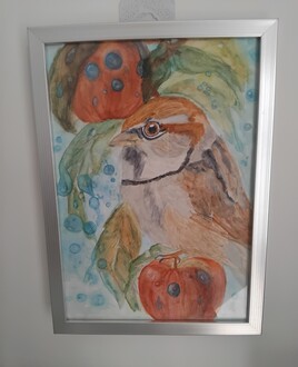 Moineau sur sa pomme