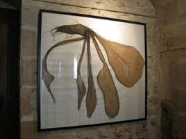 Mauvaise herbe, n&deg;1