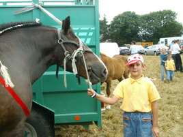 Au concours à Cléden .