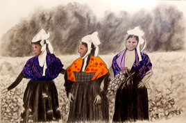 Dans les champs de blé noir