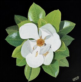 magnolia