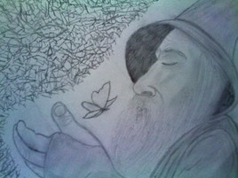 Gandalf and the butterfly