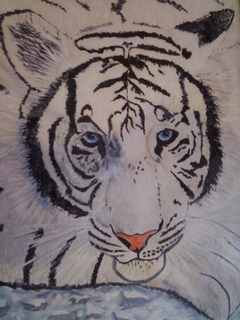 Tigre blanc sur glace