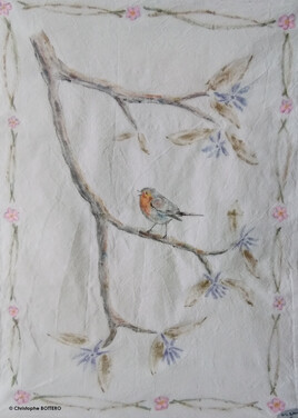 Le chant du Rouge-gorge familier