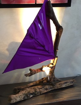 Anatole bois flott&eacute; 1