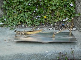 Il y a fort longtemps