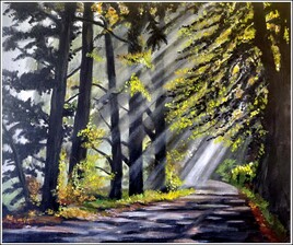 Lumi&egrave;re d'automne en sous-bois