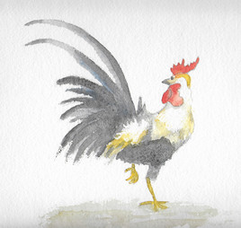 Coq
