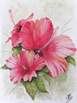 Hibiscus