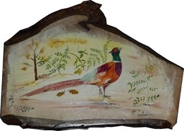 UN FAISAN DANS LA NATURE