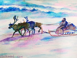 Les rennes d'après Sebastiao Salgado