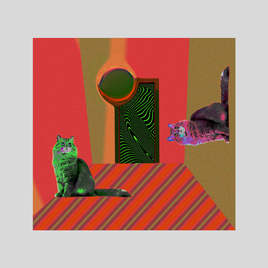 Des chats en partance