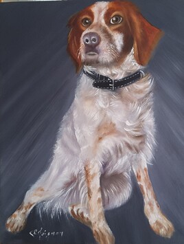 &Eacute;pagneul Breton