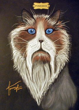 Collections de 12 &oelig;uvres  Chats Dieux   POSEIDON