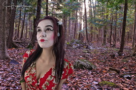 Les aventures extraordinaires